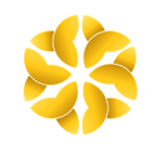 金丰元投资 Logo