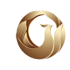 德石投资管理 Logo