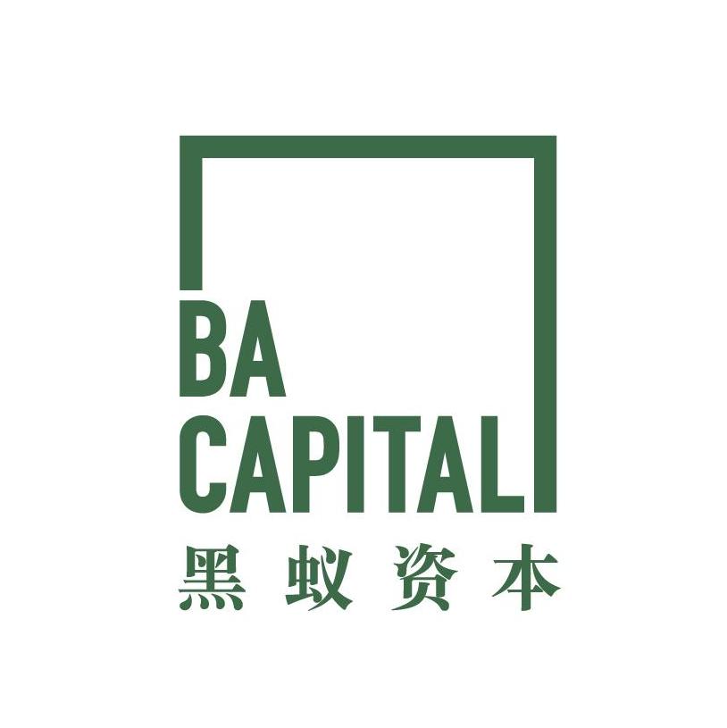 前海黑蚁投资 Logo