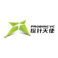 探针投资管理 Logo