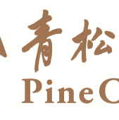青松投资集团 Logo